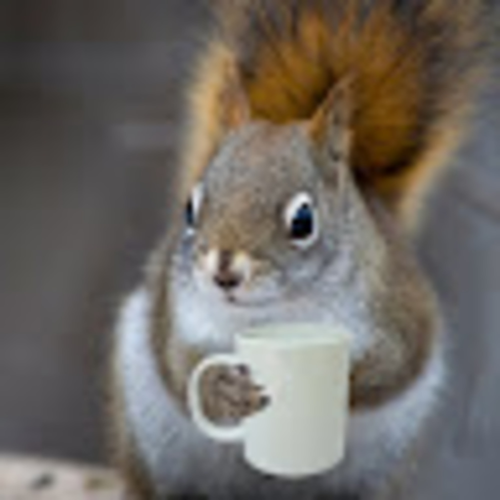 Meet your Posher, Aric